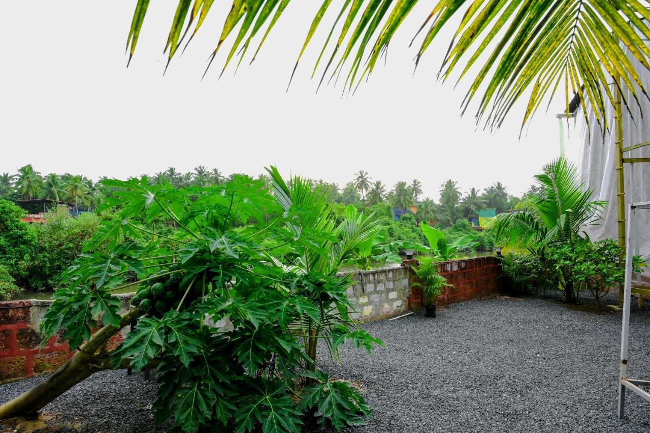 Hotel Vedana Retreat Arambol Extérieur photo